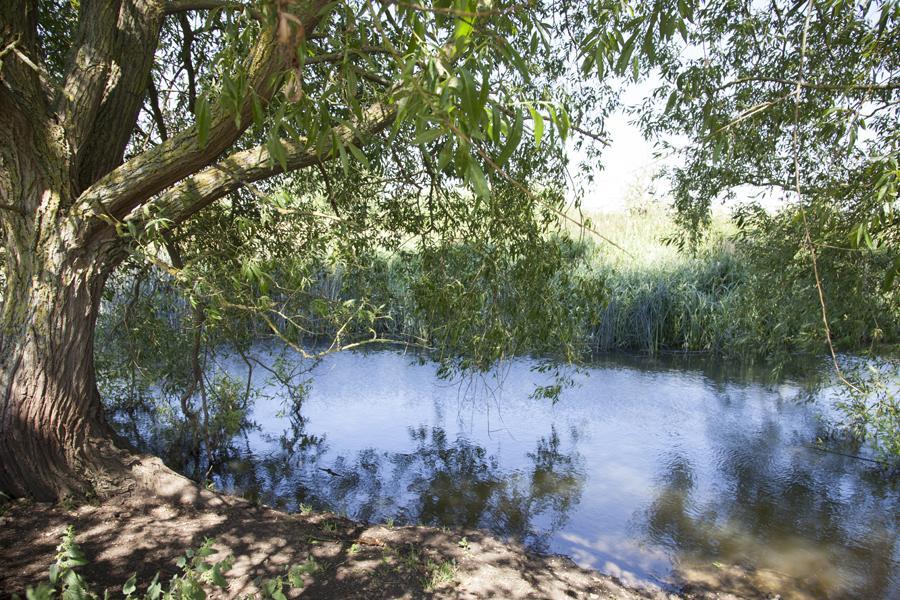 Abbey Farm Glamping & Cottage Thame Kamer foto