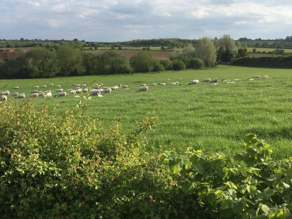 Abbey Farm Glamping & Cottage Thame Buitenkant foto