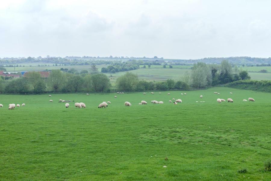 Abbey Farm Glamping & Cottage Thame Buitenkant foto