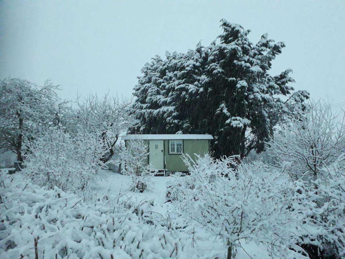 Abbey Farm Glamping & Cottage Thame Buitenkant foto